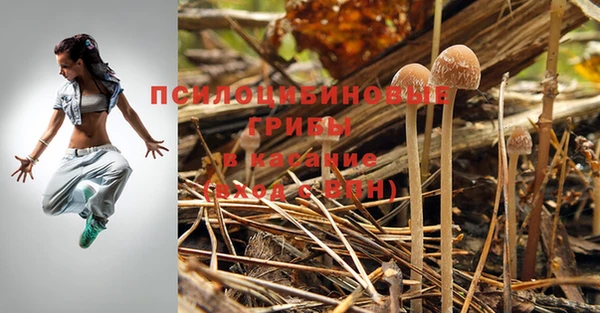ALPHA PVP Алексин